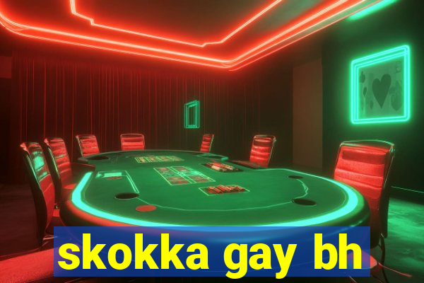 skokka gay bh